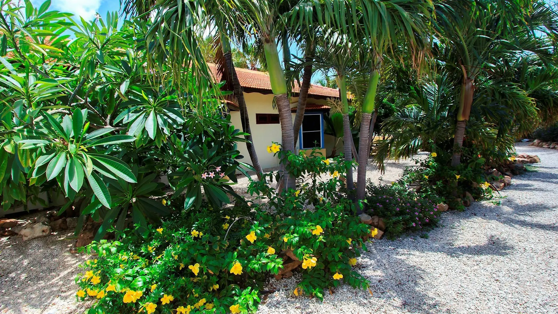 Goood Resort Kralendijk