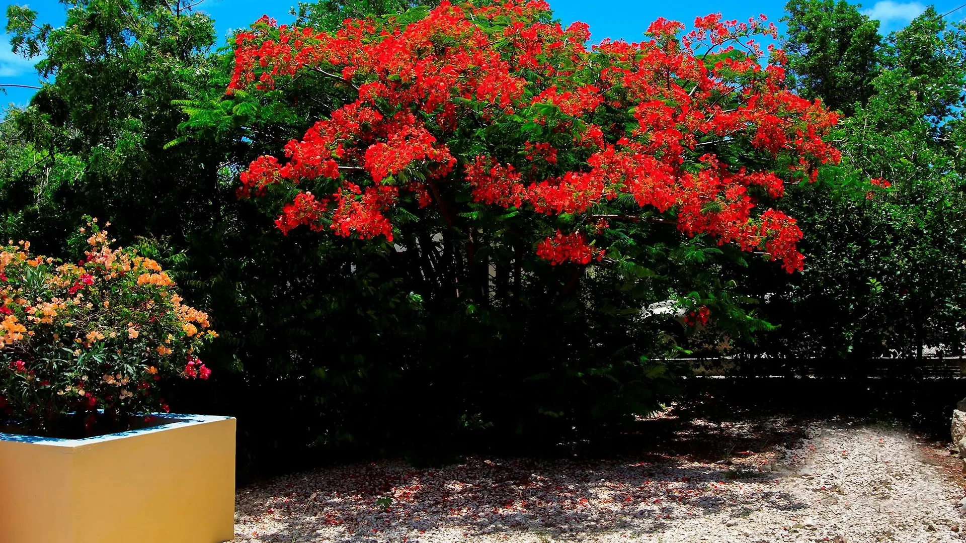 Goood Resort Kralendijk Bonaire, Sint Eustatius és Saba
